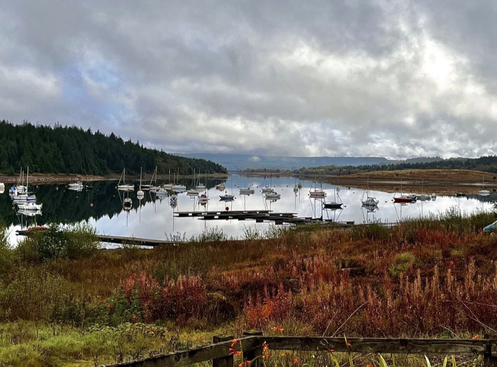 Kielder Water Autumn